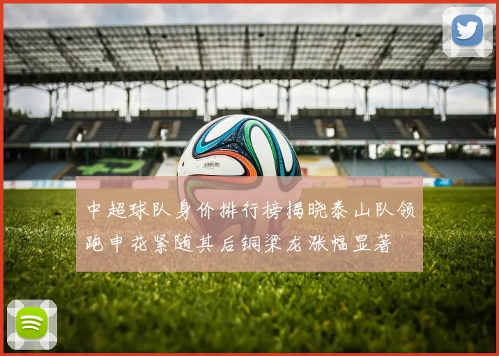 中超球队身价排行榜揭晓泰山队领跑申花紧随其后铜梁龙涨幅显著